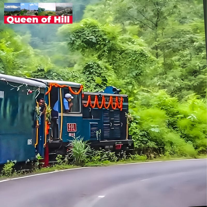 Darjeeling Toy Train - Queen of Hills