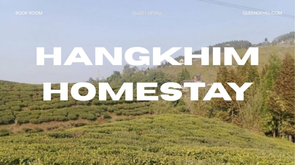Hangkhim Homestay and Tea Stall, Nakhapani Okayti Mirik – Peaceful Hill Stay with Local Charm