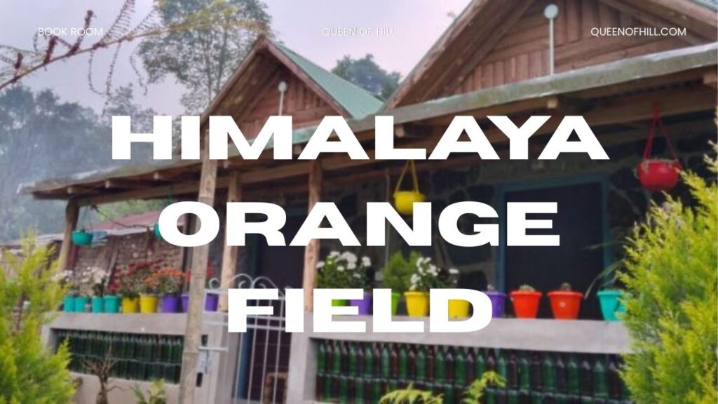 Himalaya Orange Field Homestay Pokhriabong | Nature Stay Darjeeling