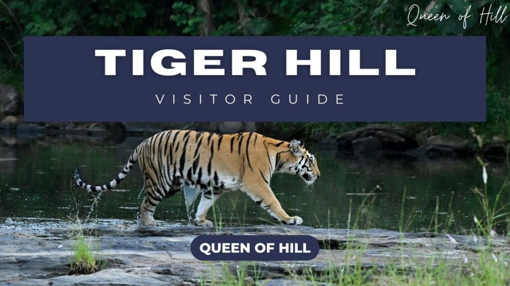 Tiger Hill Darjeeling – Sunrise View, Timing, Entry Fee & Travel Guide