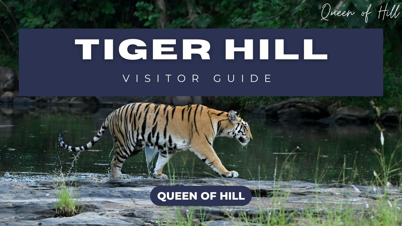tiger-hill-darjeeling