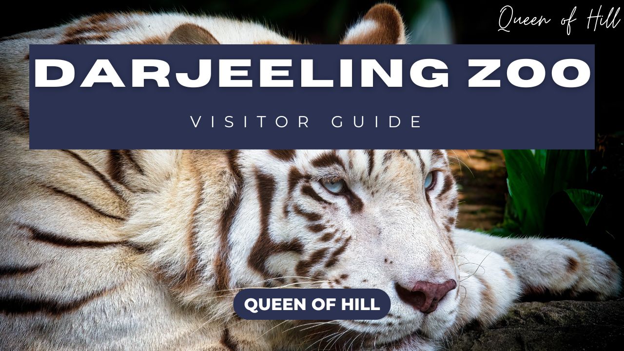 darjeeling-zoo-visitor-guide