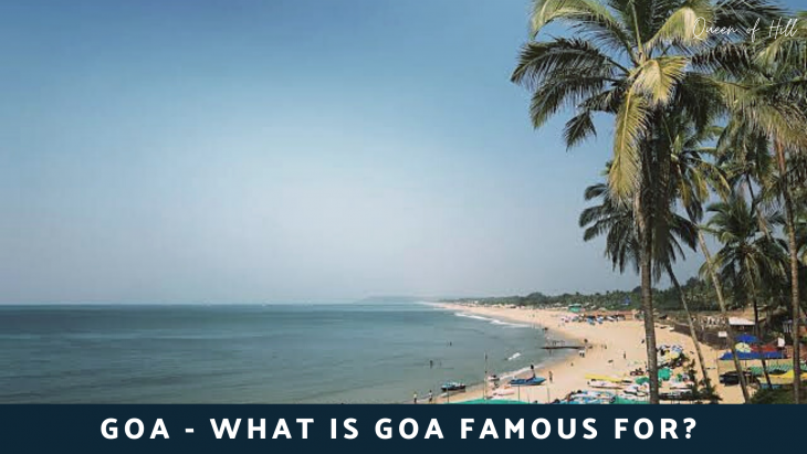 Best Places to Visit in Goa – What is Goa famous for? 