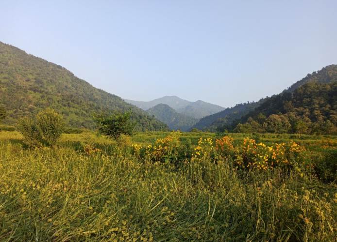 Best Places to Visit in Lohagarh Tea Estate – Historical Remark of Lohagarh Tea Garden 