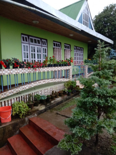 Ganga Homestay Temi, Sikkim