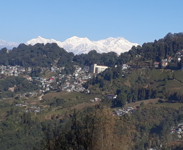 Family Room Four Persons in Sewaro Homestay, Darjeeling