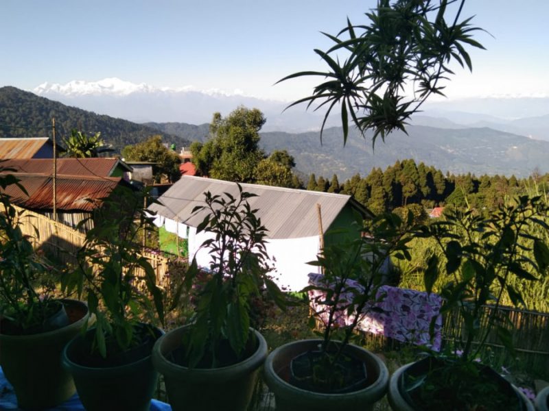 Chetan Homestay, Chatakpur Sonada, Darjeeling